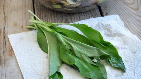 тибон стейк