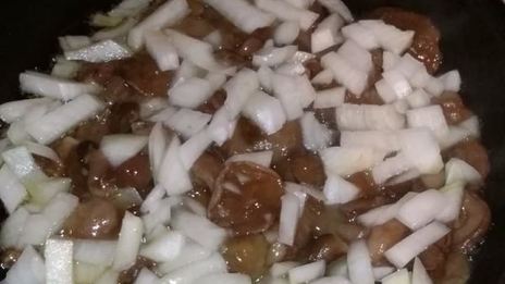 жаркое с индюшкой и маслятами