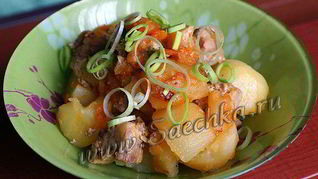 Жаркое со свининой и картошкой в мультиварке Steba