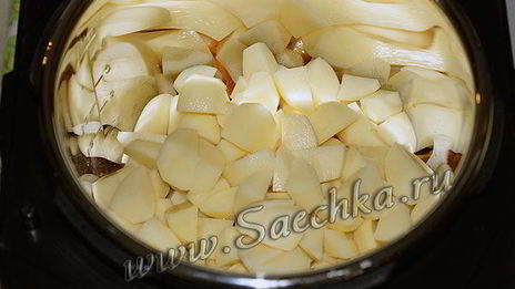 жаркое со свининой и картошкой в мультиварке steba