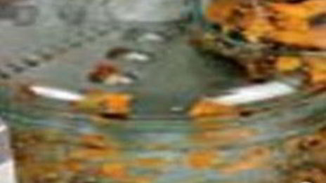 куриные зразы с сухофруктами под апельсиновым соусом