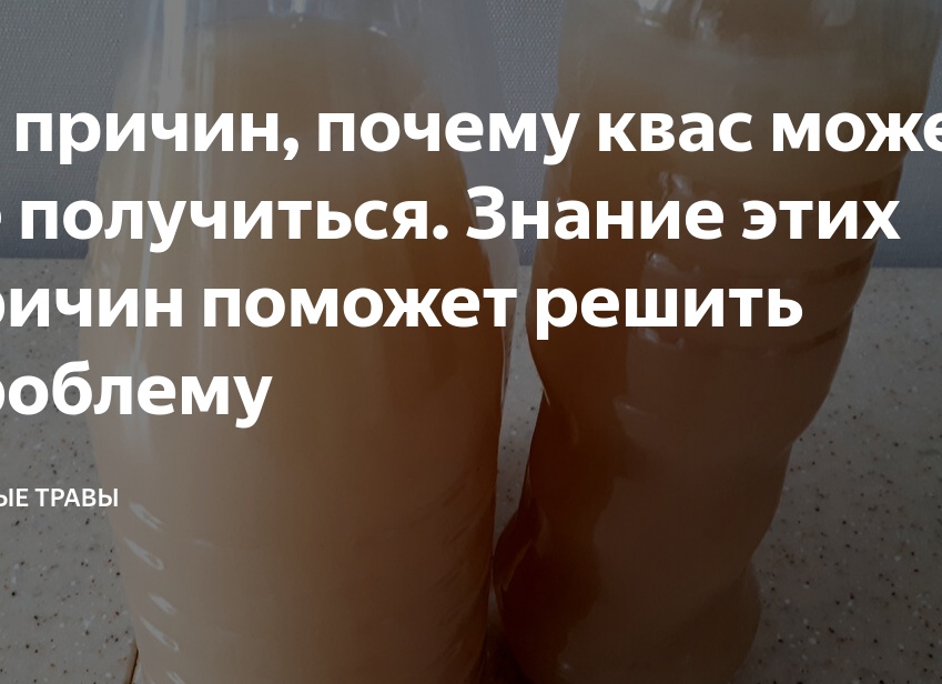 11 причин, почему квас может не получиться. Знание этих причин поможет решить проблему