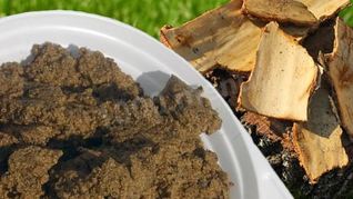 Березовая каша