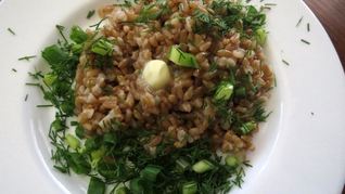 Каша из полбы