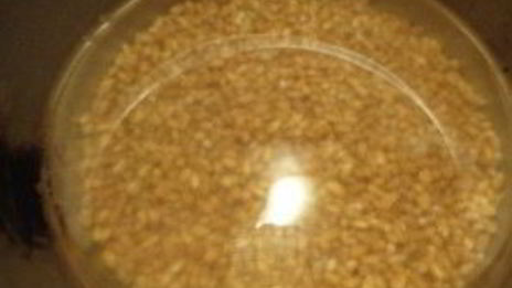 кутья с яблоками