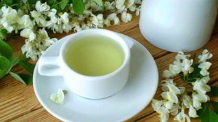 Чай из акации