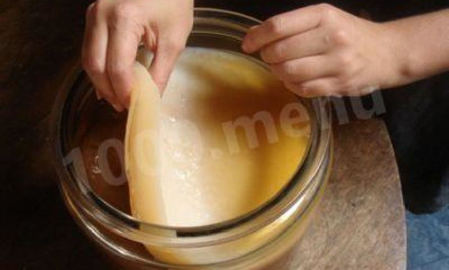 Рецепт чайного гриба