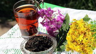 Иван чай зверобой