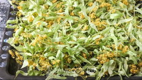 липовый чай