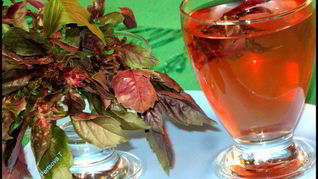 Очень полезный, вкусный холодный чай из базилика