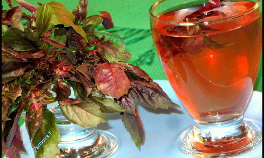Рецепт очень полезного, вкусного холодного чая из базилика