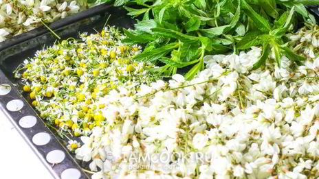 цветочный чай с ромашкой, акацией и мятой