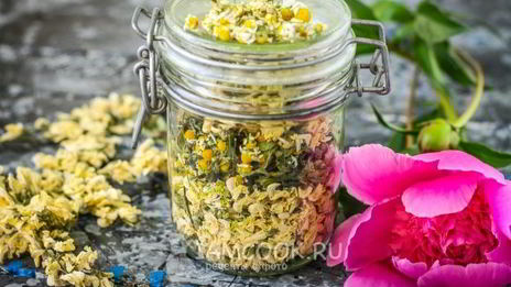 цветочный чай с ромашкой, акацией и мятой