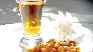 Домашнее облепиховое вино из облепихи