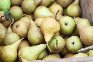 Домашнее вино из груш