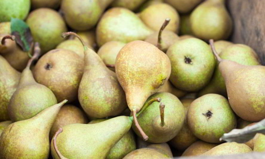 Рецепт домашнего вина из груш