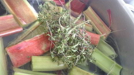 кисель чабрец, ревень и малина