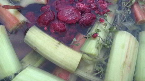 кисель чабрец, ревень и малина