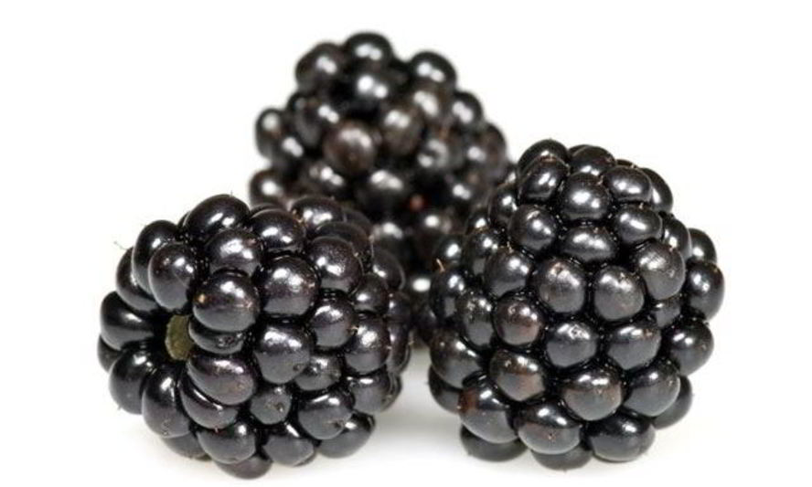 Рецепт киселя из ежевики