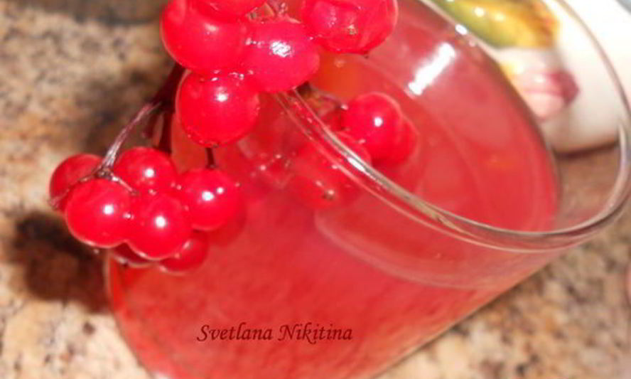 Рецепт киселя из калины