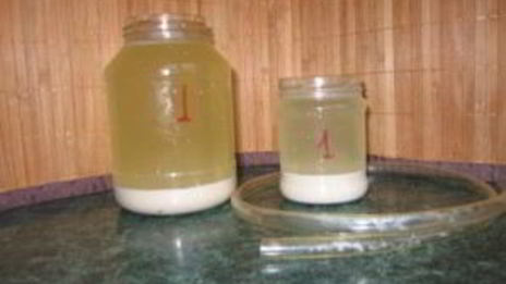 кисель из овса для печени