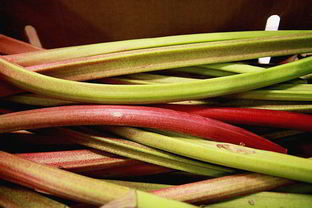 Кисель из ревеня