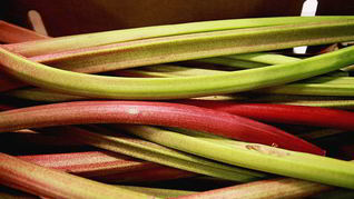 Кисель из ревеня