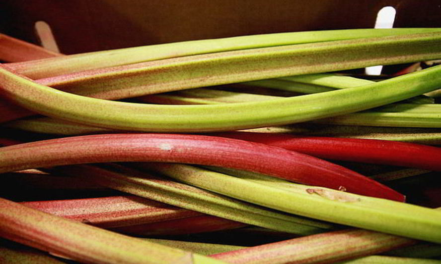 Рецепт киселя из ревеня