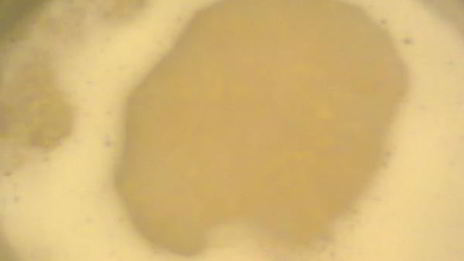 овсяный кисель