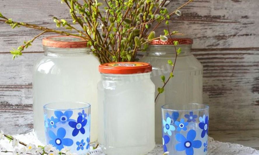 Рецепт кваса из березового сока с хлебом