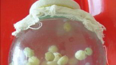 квас из риса и изюма