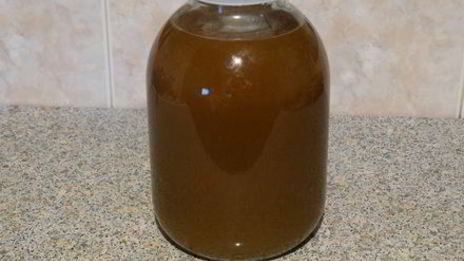 квас из сусла