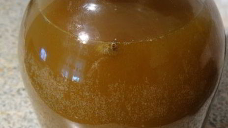 квас из сусла