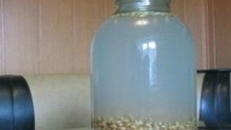 квас из ячменя