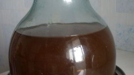 квас на солоде