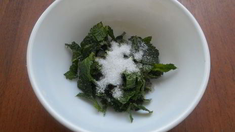 абрикосовый лимонад с мятой