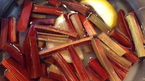 концентрат лимонада из ревеня