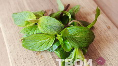 лимонад с мятой