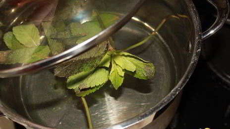 лимонный напиток с мятой