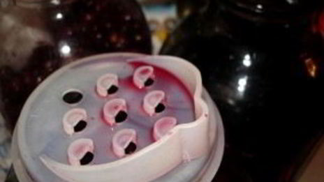 вишневая наливка