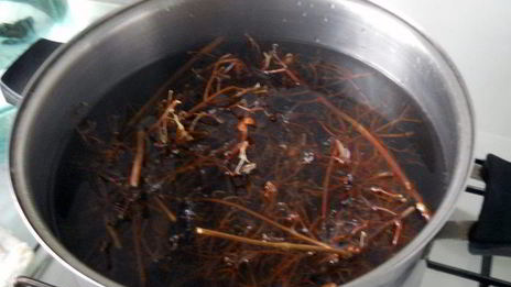 напиток и сок из калины