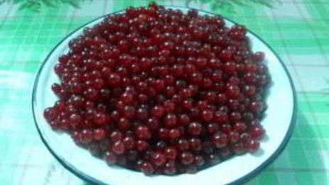 сироп из красной смородины