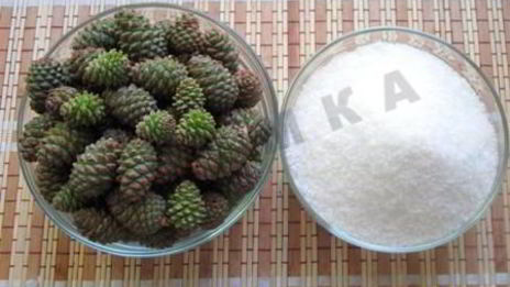 сироп из сосновых шишек