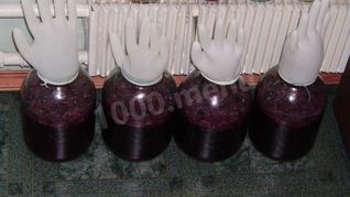 Вино из винограда северных сортов