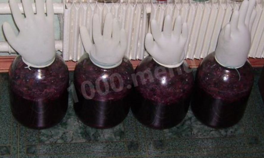 Рецепт вина из винограда северных сортов