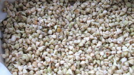 салат с проростками зеленых зерен гречихи и гранатом