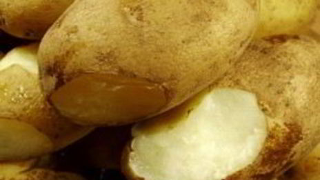 картофельный салат с беконом