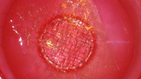 сладкий десерт оливье с маскарпоне