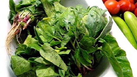 салат с авокадо и яйцами