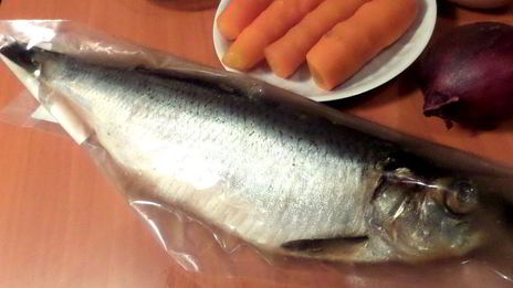 салат селедочка в наряде санта клауса